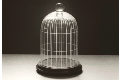 Jaula_50x60_215_2014_Chema-Madoz_1601564316191blob