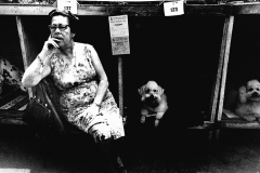 Colita. Concurso de perros en Turó Park. Barcelona 1963