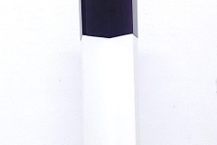 1_Lisardo-ST-32x235x17cm-144x235x17cm-con-peana-Hierro-acrílico-2010