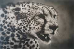 guepardo