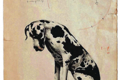 Dogo-35-x-27-cm-Grafito-y-lápices-de-color-sobre-papel-2022-Morago