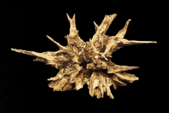 Uproot01-30x30cm