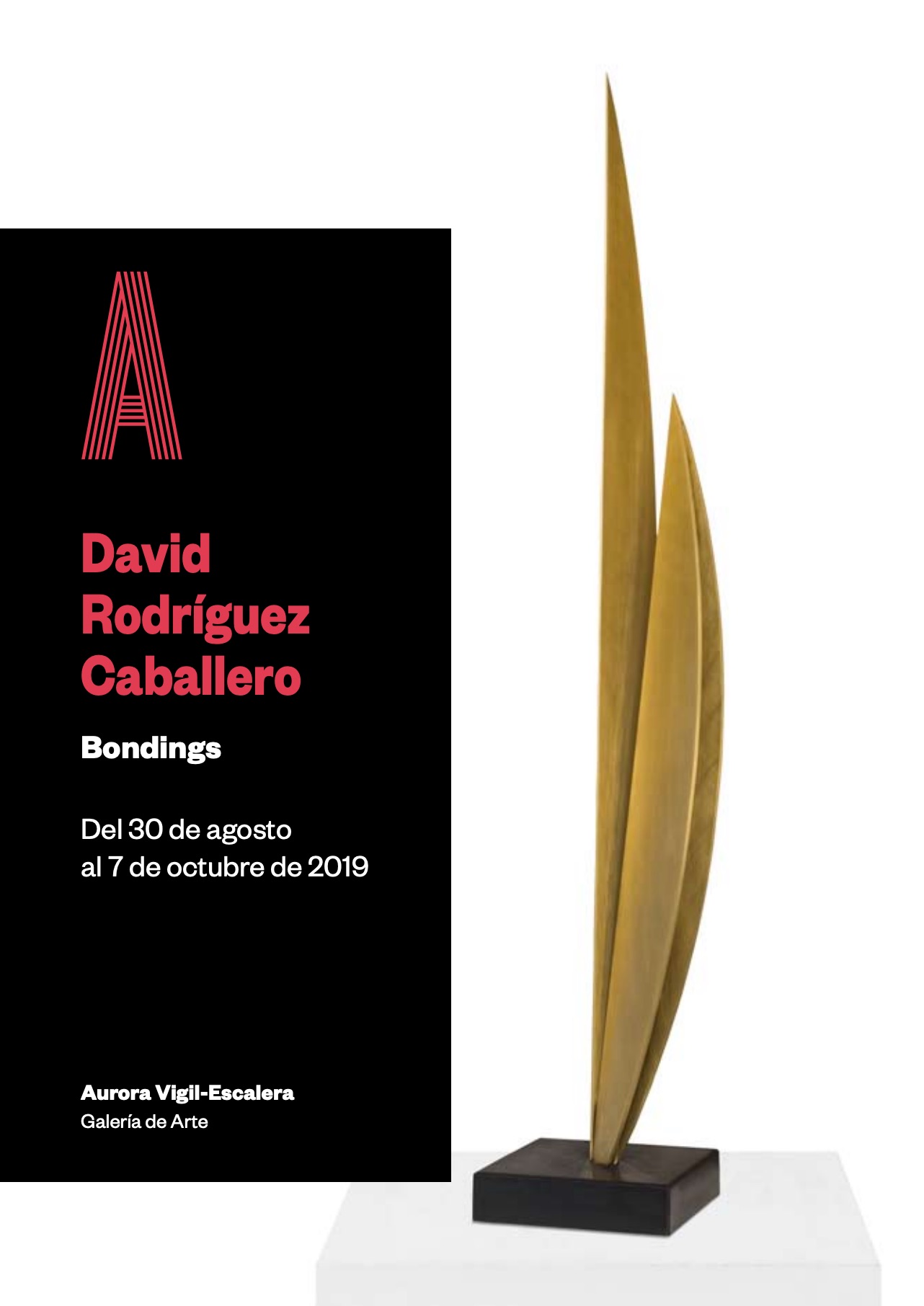 drc-bondings-2019-portada-catalogo