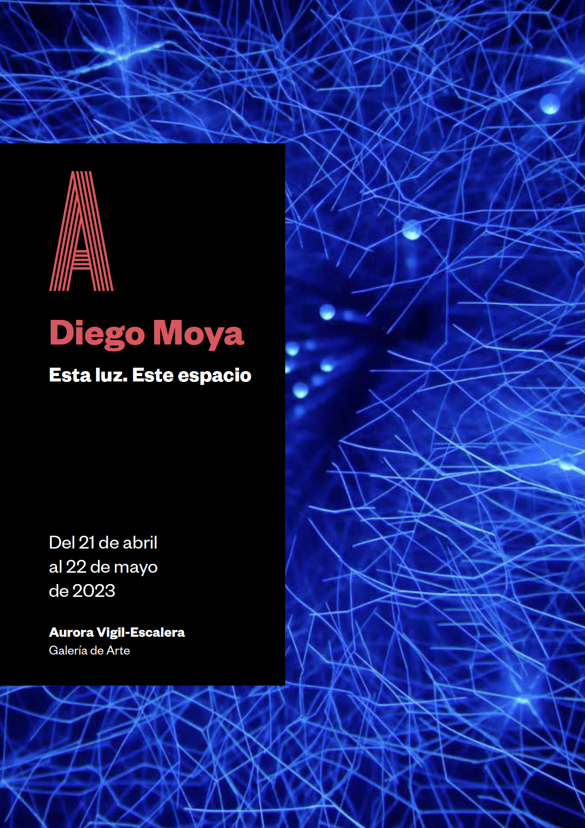 Catálogo digital Diego Moya