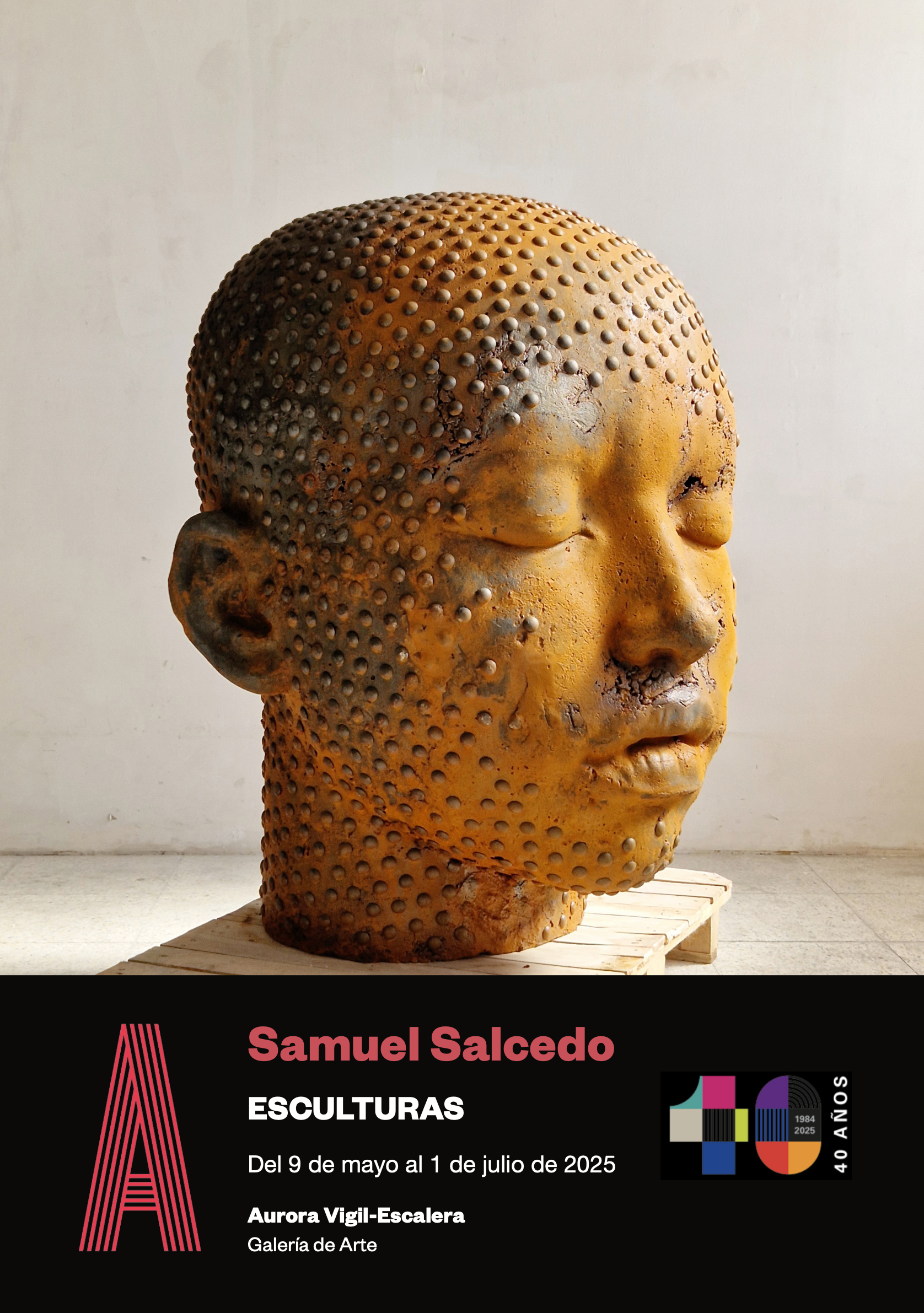 cover_salcedo